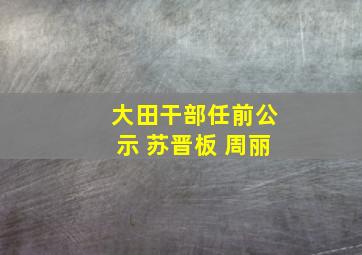 大田干部任前公示 苏晋板 周丽